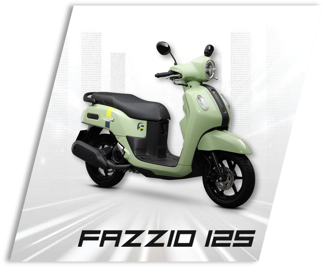 fazzio 124