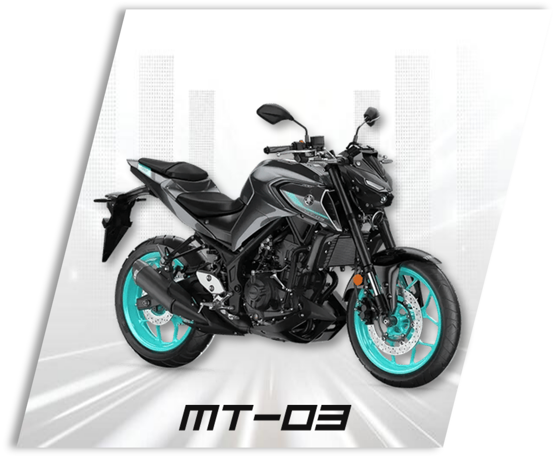 mt- 03