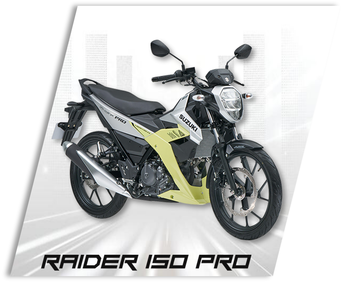 raider 150 pro