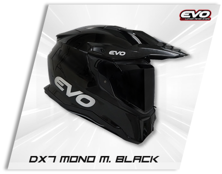evo 1